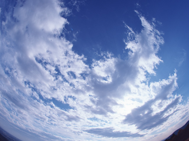 �Ί_���̃��^�ɉ���ĕs�D���P����̂��H